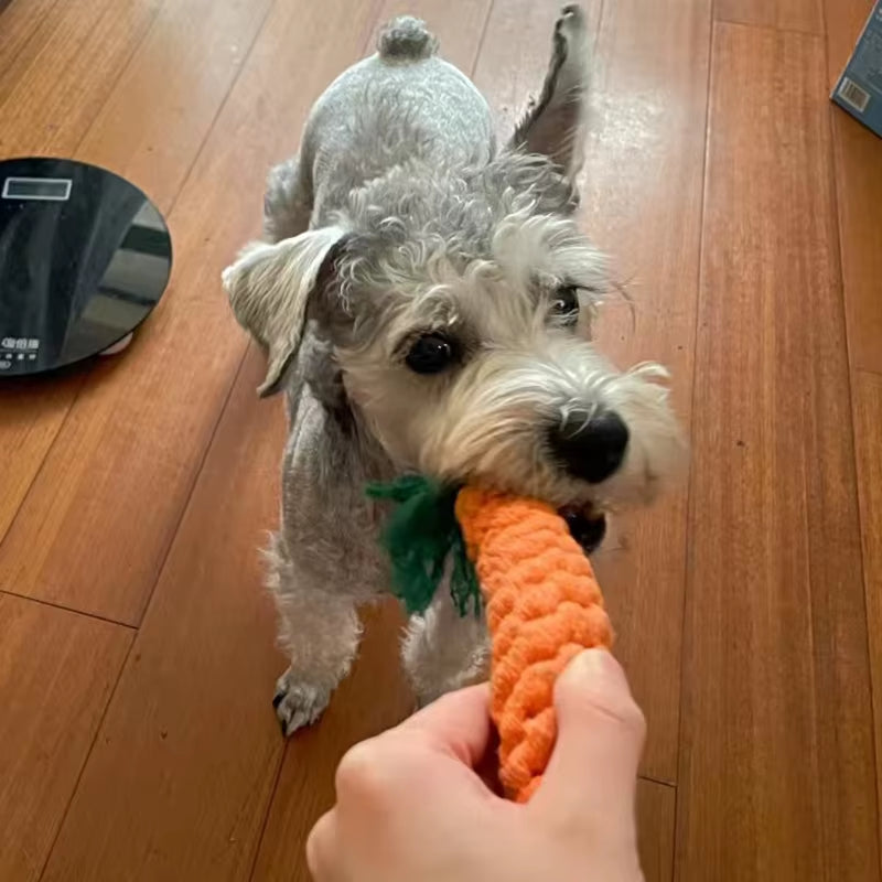 1Pcs Bite Resistant Pet Dog Chew Toys for Small Dogs Cleaning Teeth Puppy Cat Rope Knot Ball Toy Playing Mascotas Accessories