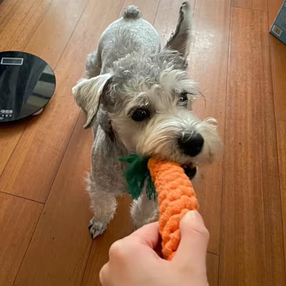 1Pcs Bite Resistant Pet Dog Chew Toys for Small Dogs Cleaning Teeth Puppy Cat Rope Knot Ball Toy Playing Mascotas Accessories